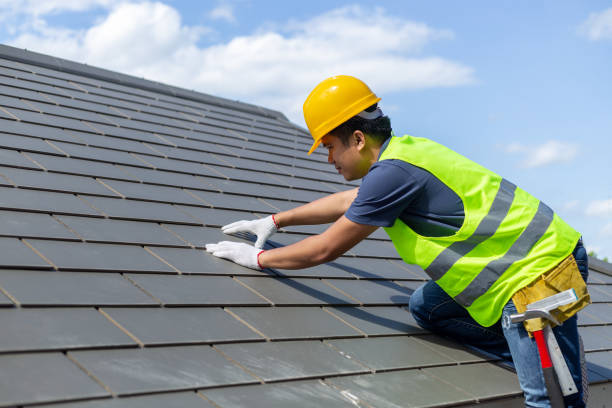 Best Roof Gutter Cleaning  in Stokesdale, NC