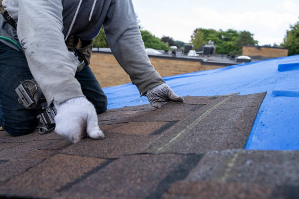 Best Metal Roofing Contractor  in Stokesdale, NC