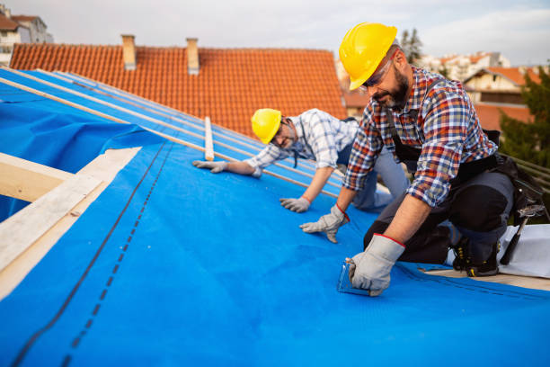Roof Gutter Cleaning in Stokesdale, NC